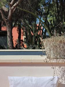 Petra Country House: Stay Amid Salento Vineyards